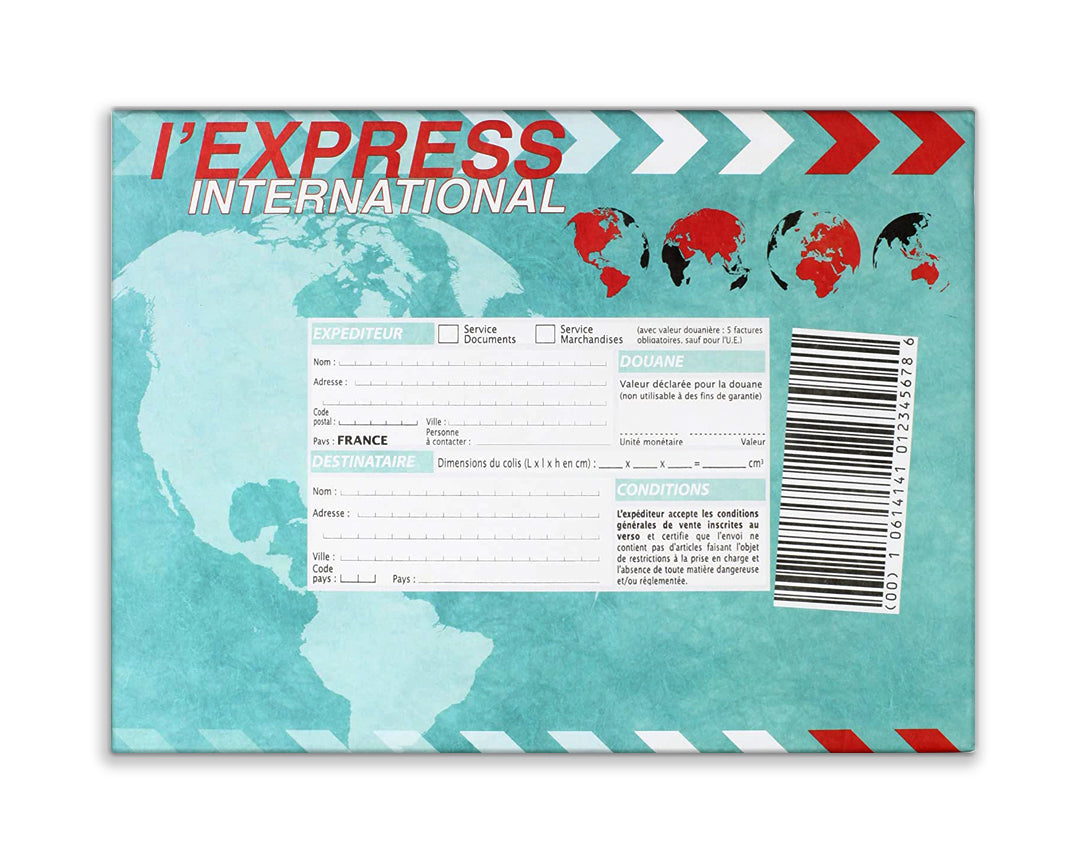 Express "STEALTH" Laptop Case