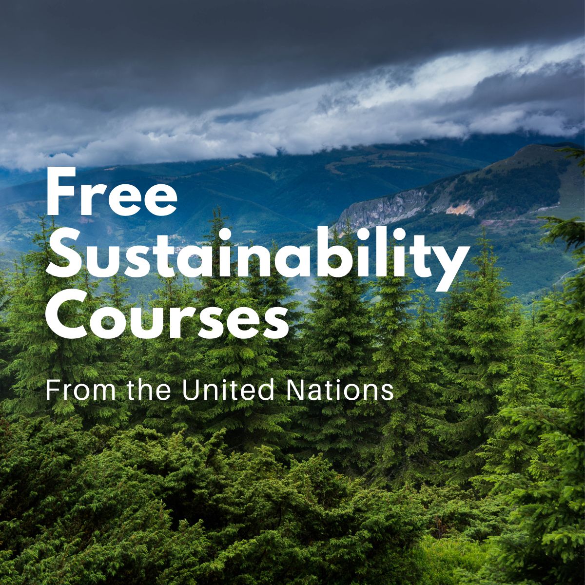 Sustainability 101 - FREE Classes by the United Nations