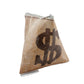 Money Bags - Tyvek Coin Bag