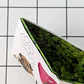 Dog Days Mighty Wallet