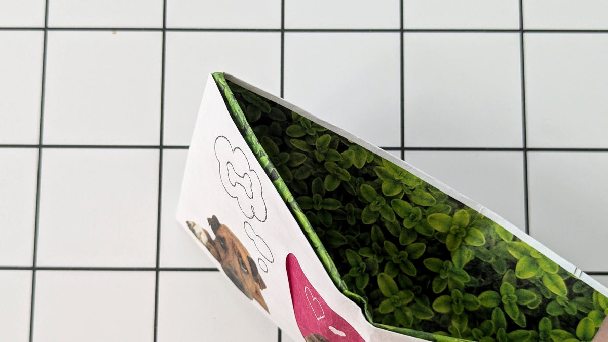 Dog Days Mighty Wallet
